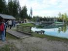 soak2010_bu_029_small.jpg