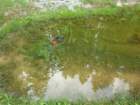 soak2010_bu_031_small.jpg