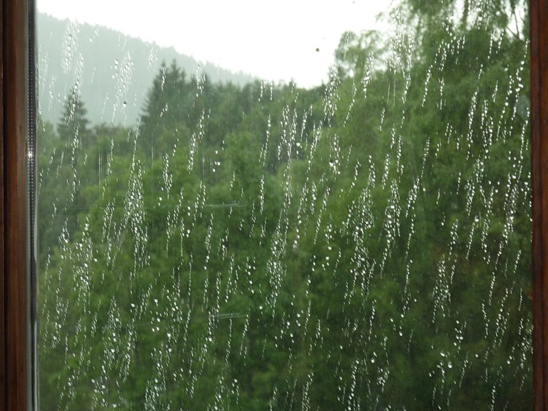 soak2010_vo_012.jpg