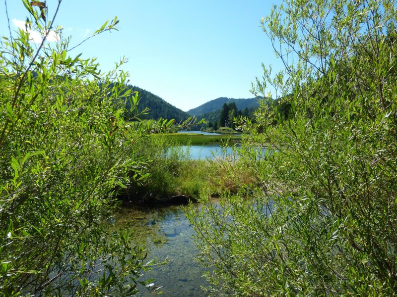 soak2010_wa_013.jpg