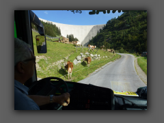 soak_20120823_ez073.jpg