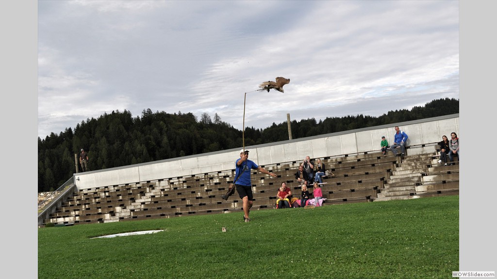 20130820b_soak_029