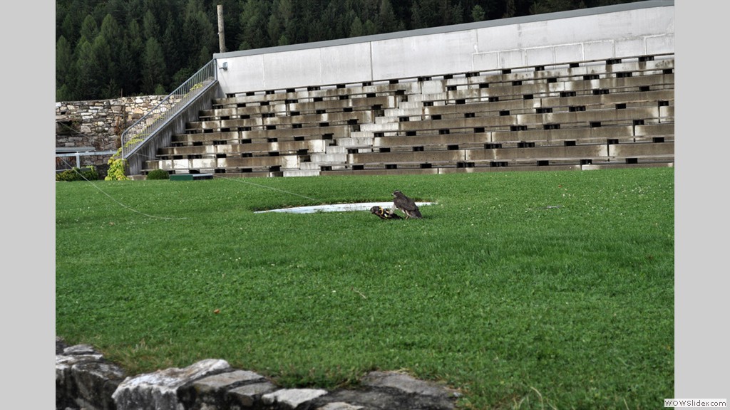20130820b_soak_034