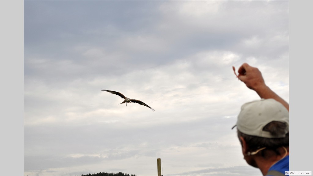 20130820b_soak_042