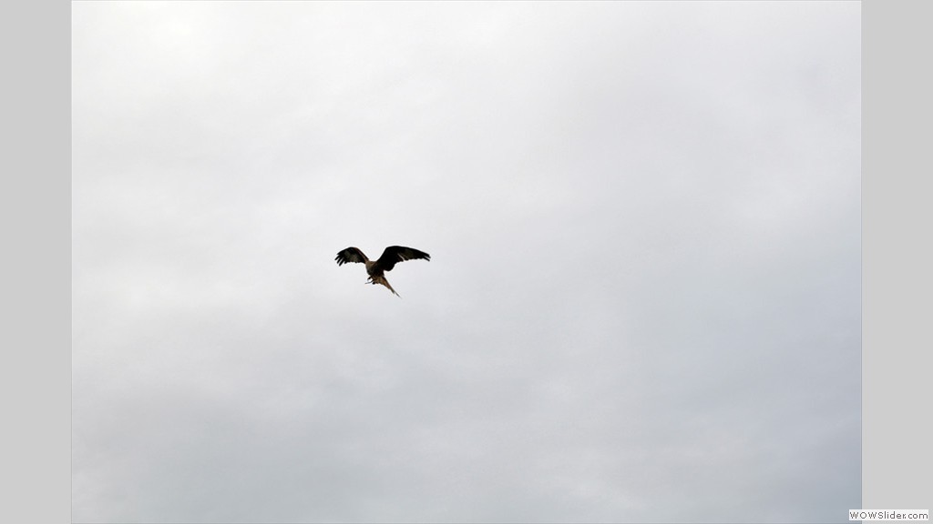 20130820b_soak_043