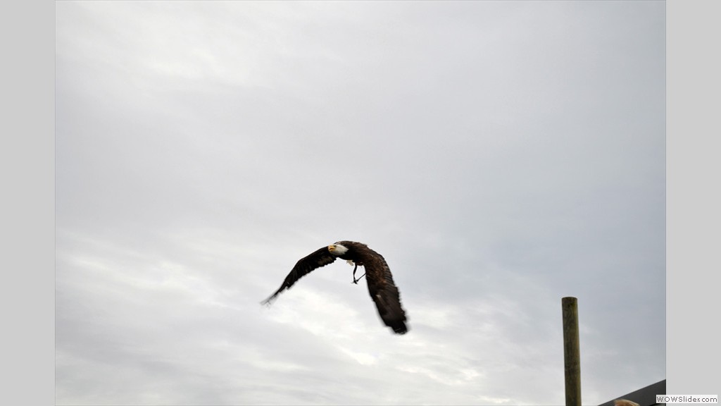 20130820b_soak_046