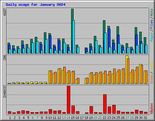 Daily usage for January 2024