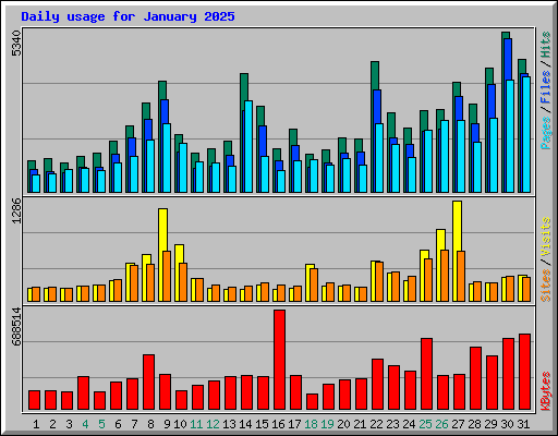 Daily usage for January 2025