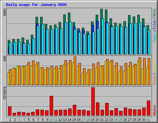 Daily usage for January 2026