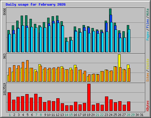 Daily usage for February 2026