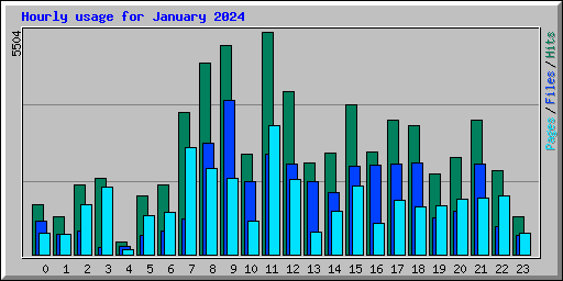 Hourly usage for January 2024
