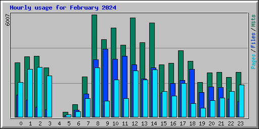 Hourly usage for February 2024