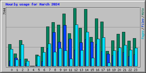 Hourly usage for March 2024