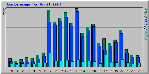 Hourly usage for April 2024