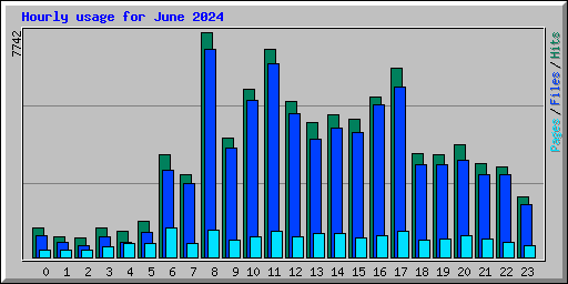 Hourly usage for June 2024