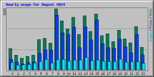 Hourly usage for August 2024