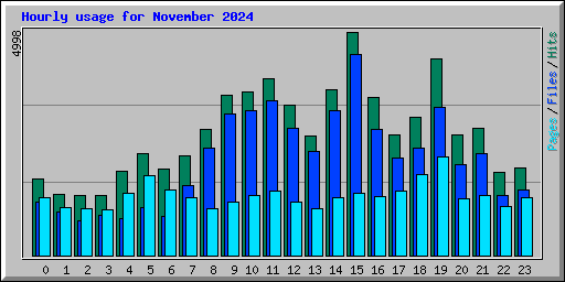Hourly usage for November 2024