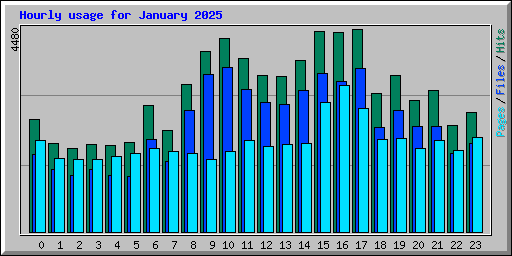 Hourly usage for January 2025