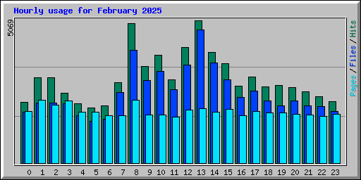 Hourly usage for February 2025