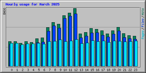 Hourly usage for March 2025