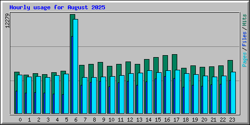 Hourly usage for August 2025