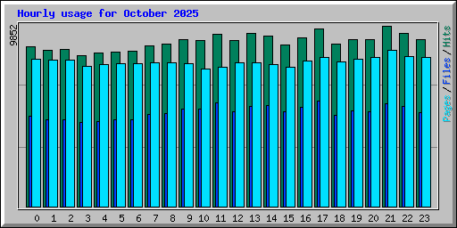 Hourly usage for October 2025