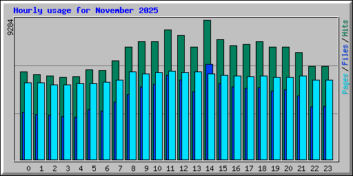 Hourly usage for November 2025