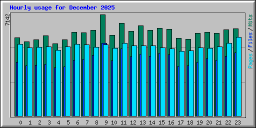 Hourly usage for December 2025