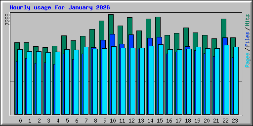 Hourly usage for January 2026