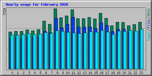 Hourly usage for February 2026