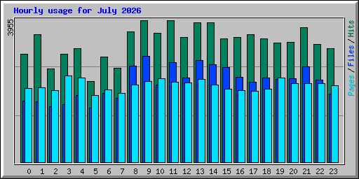 Hourly usage for July 2026